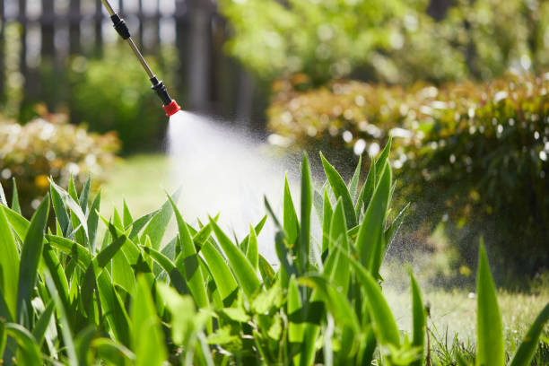 24/7 Emergency Ant Control experts in Loch Lomond, VA
